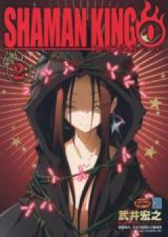 SHAMAN KING ～シャーマンキング～ KC完結版 第01-35巻